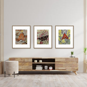 3 moth art prints with plants hanging on wall above sideboard