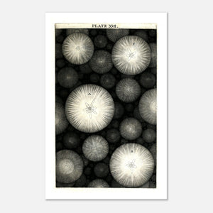 black and white abstract art poster of solar system