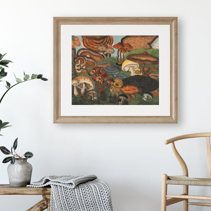 art poster of mushrooms hanging on wall in frame above chair and bench