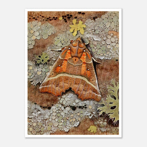 orange moth illustration with plants