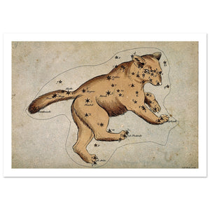 framed art poster of ursa major constellation pattern with a bear overlaid on it
