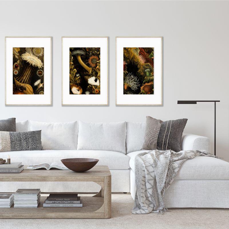 set if 3 dark colors mushrooms vintage art posters hanging above white sectional