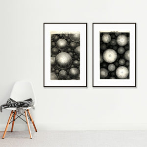 2 black and white art prints of vintage planets and solar system